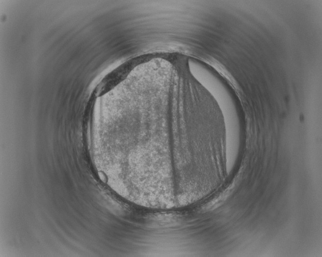 X0000064740834200603131316