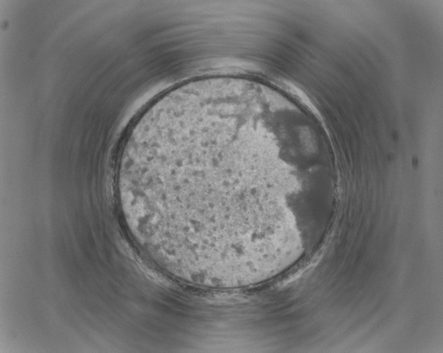 X0000064740835200603131316