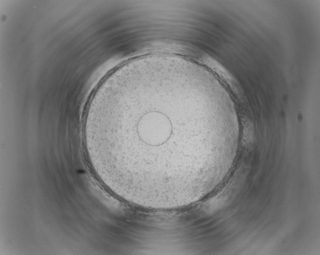 X0000064740836200603131316