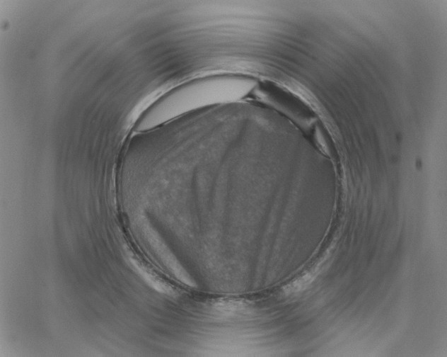 X0000064740842200603131316