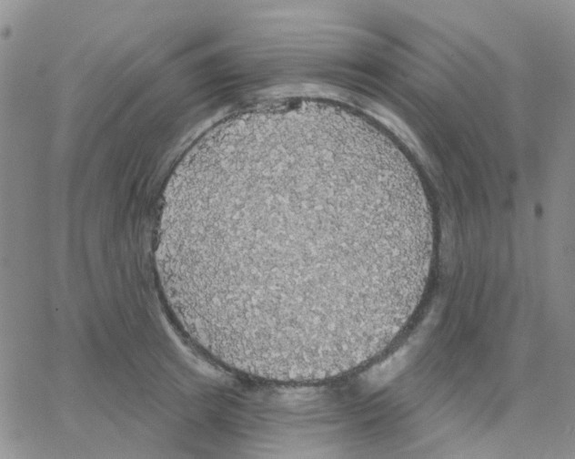 X0000064740849200603131316