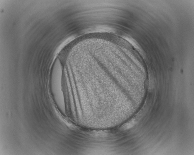 X0000064740850200603131316