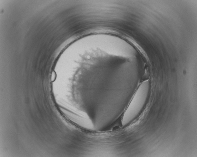 X0000064740853200603131316