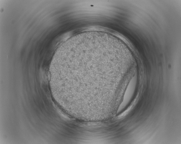 X0000064740857200603131316