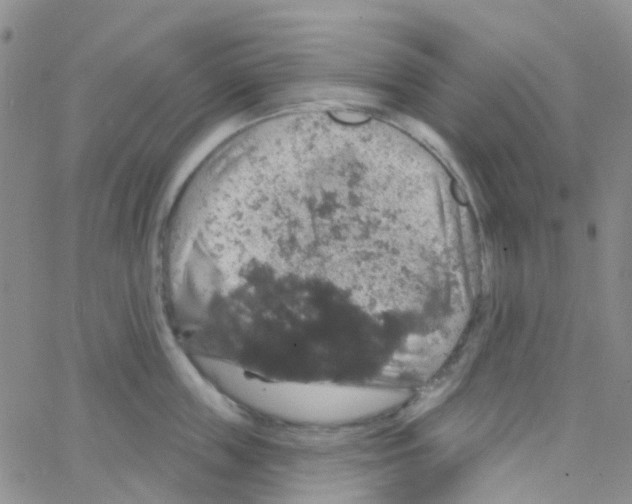 X0000064740859200603131316