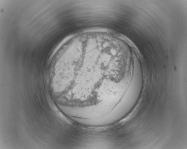 X0000064740860200603131316