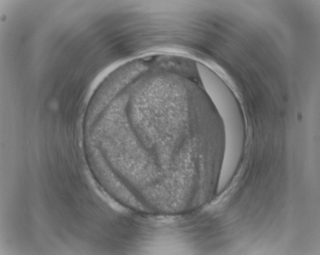 X0000064740862200603131317