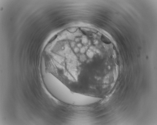 X0000064740863200603131317