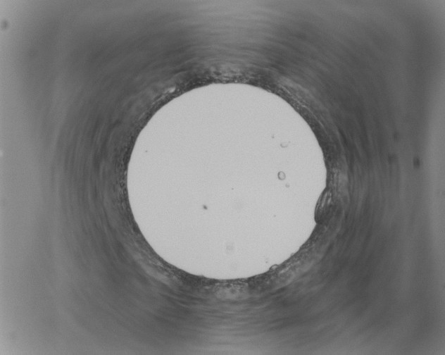 X0000064740865200603131316