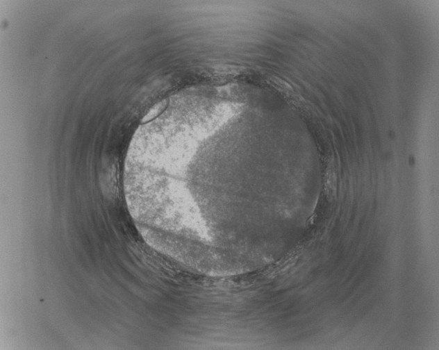 X0000064740866200603131316