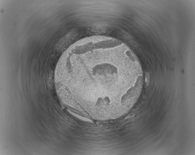 X0000064740867200603131316