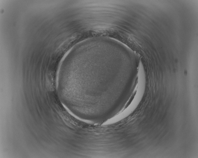 X0000064740868200603131316