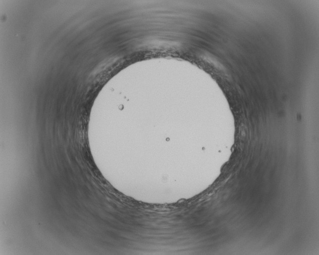 X0000064740869200603131316