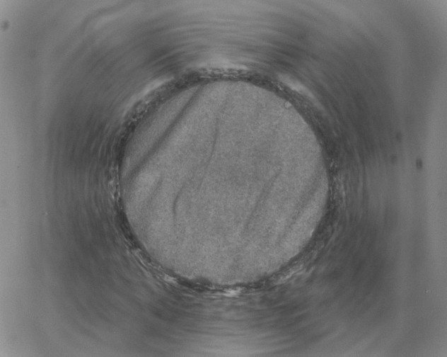 X0000064740870200603131316