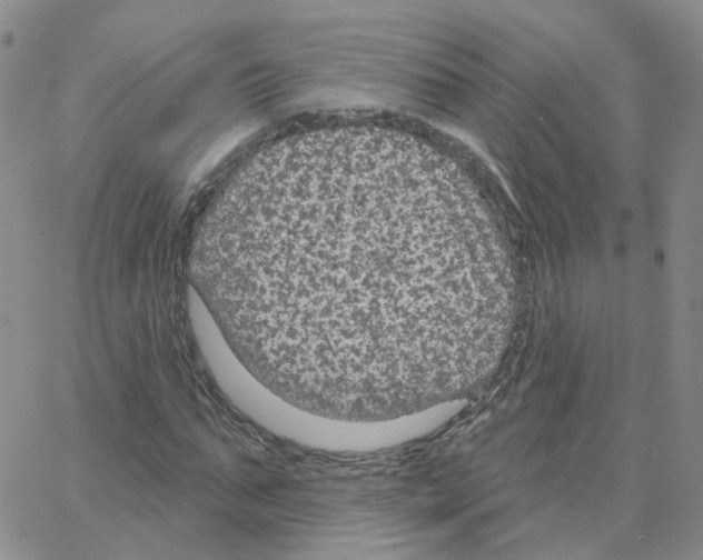 X0000064740871200603131316