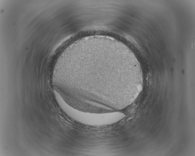 X0000064740872200603131316