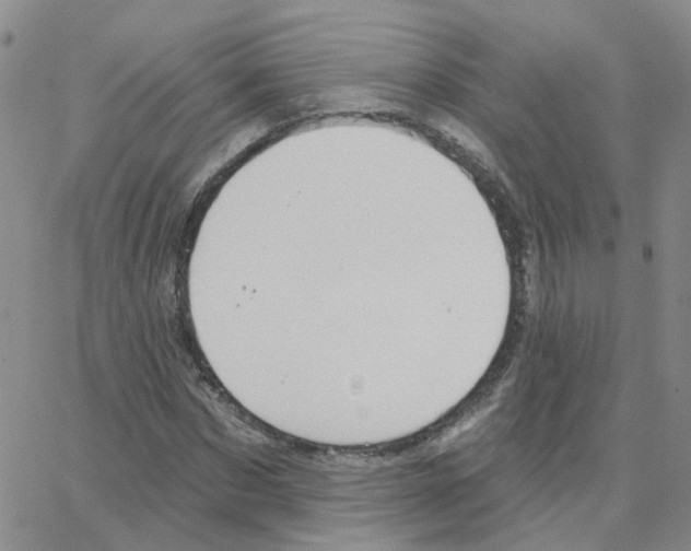 X0000064740873200603131316