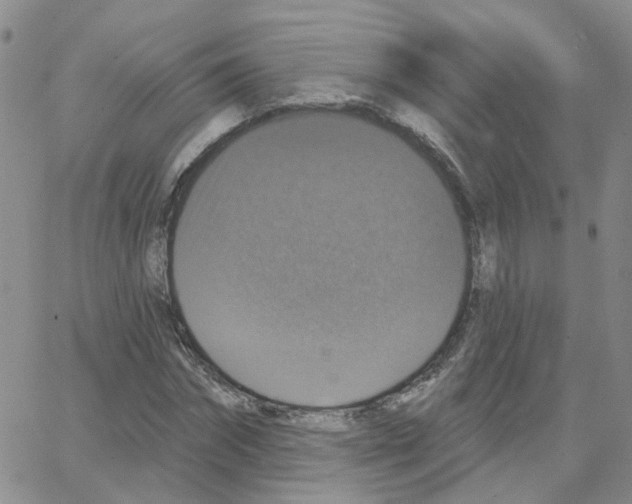 X0000064740874200603131316