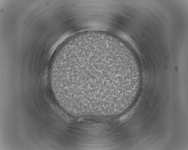 X0000064740875200603131316