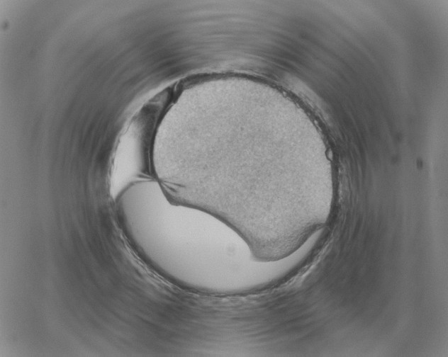 X0000064740876200603131316