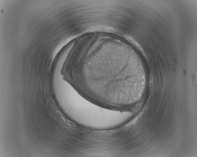 X0000064740877200603131316