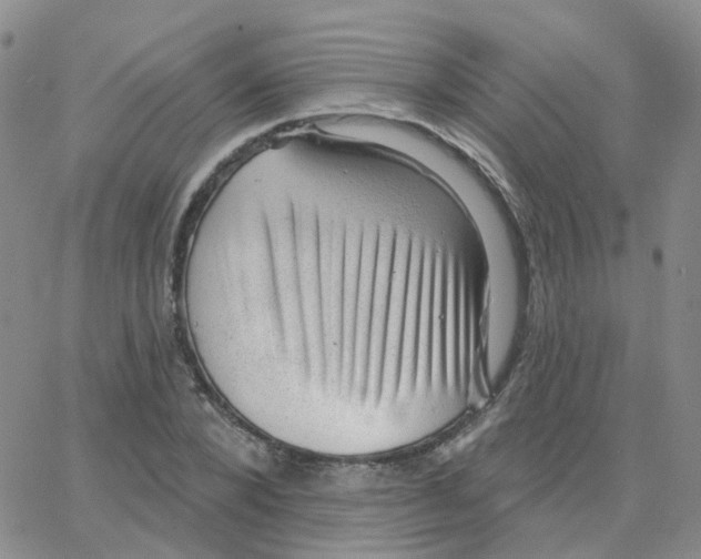 X0000064740880200603131316