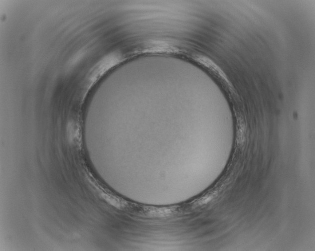 X0000064740882200603131315