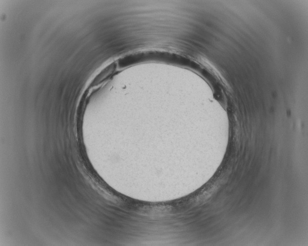 X0000064740884200603131315