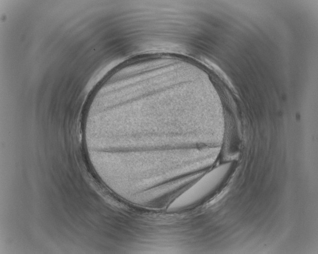 X0000064740885200603131315