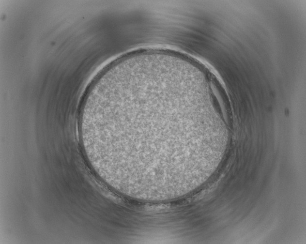 X0000064740887200603131315