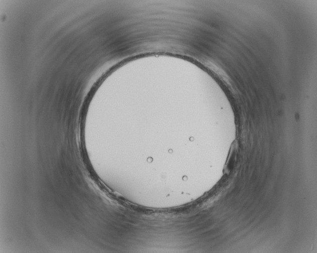 X0000064740888200603131315