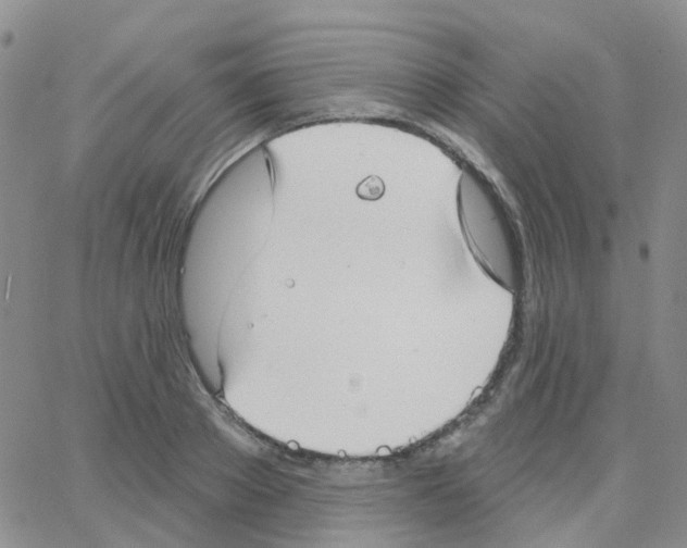 X0000064740889200603131315