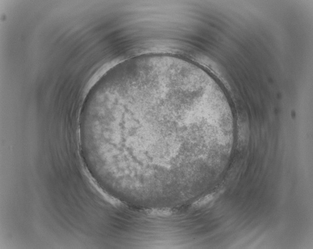 X0000064740890200603131315