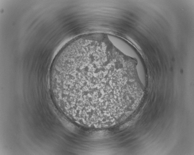 X0000064740891200603131315