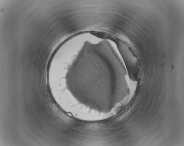 X0000064740892200603131315