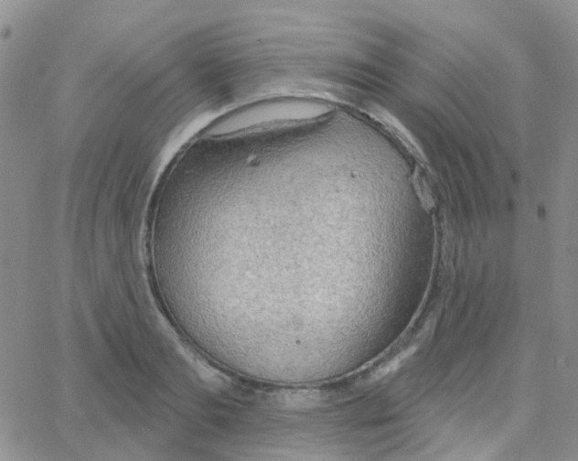 X0000064740893200603131315