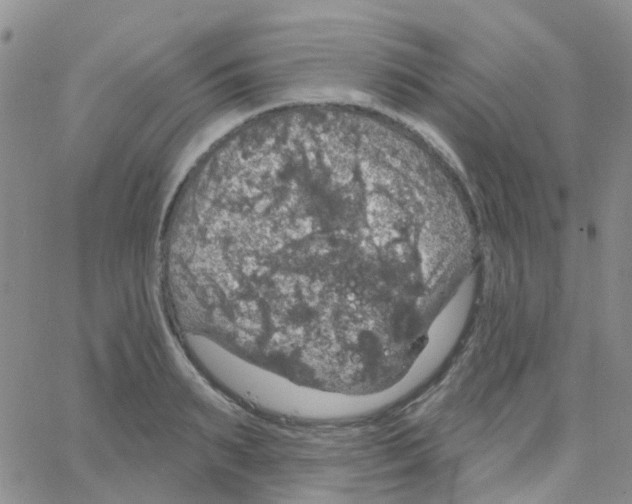 X0000064740895200603131315