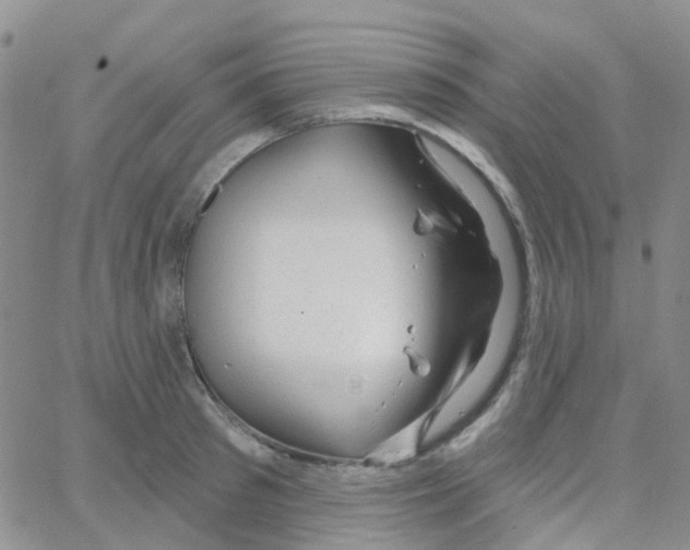 X0000064740897200603131315