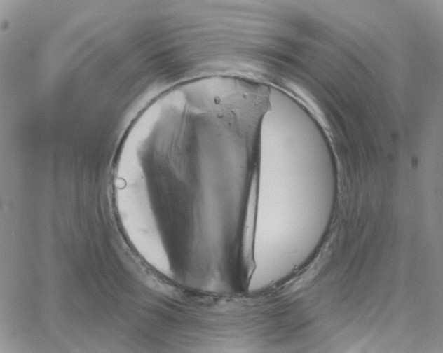 X0000064740899200603131315