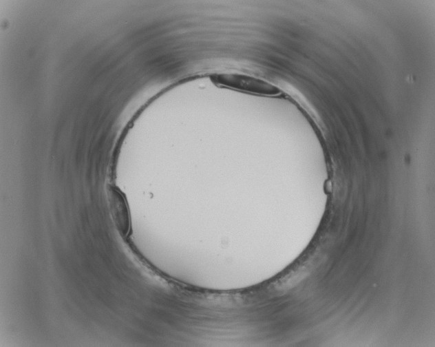 X0000064740901200603131315