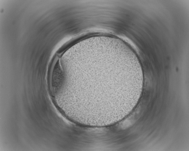 X0000064740902200603131315