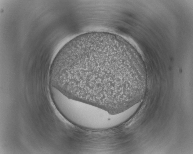 X0000064740903200603131315