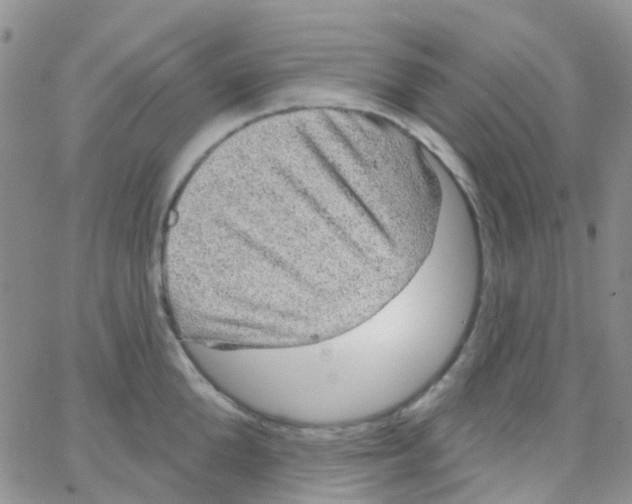 X0000064740904200603131315