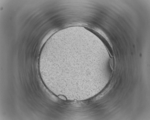 X0000064740906200603131315