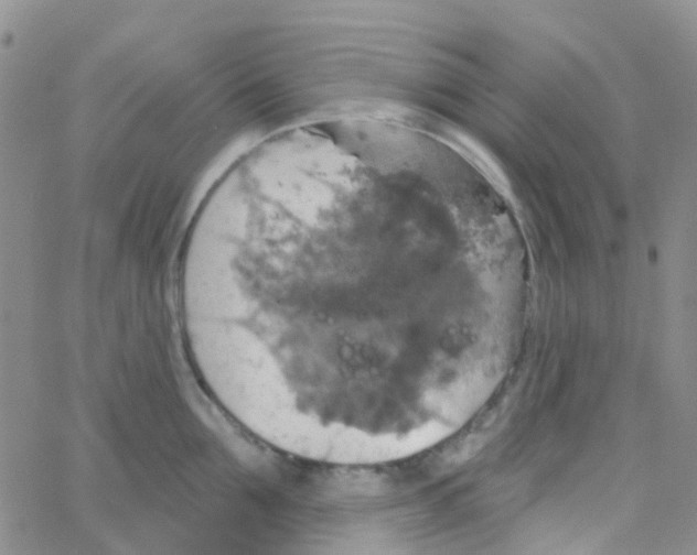 X0000064740907200603131315