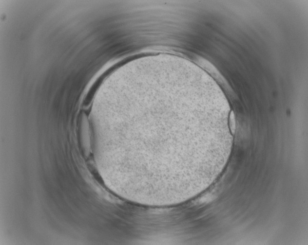 X0000064740908200603131315