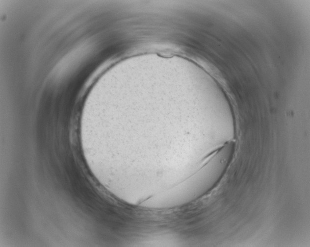 X0000064740912200603131315