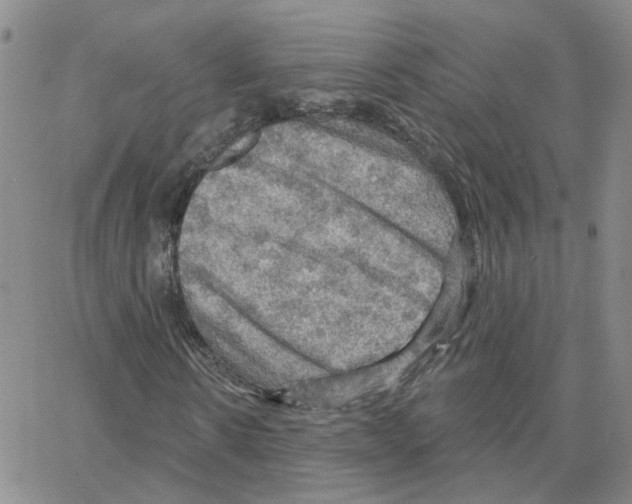 X0000064740914200603131314