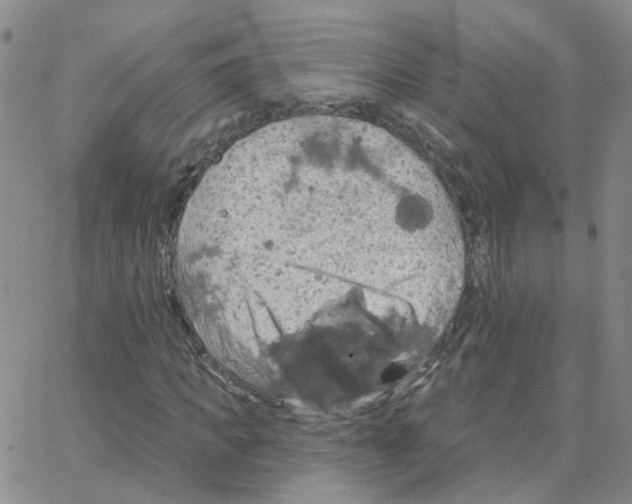 X0000064740917200603131314