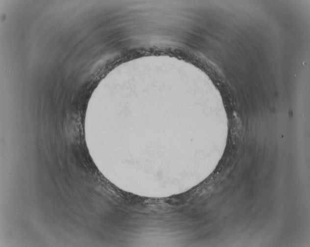 X0000064740918200603131314